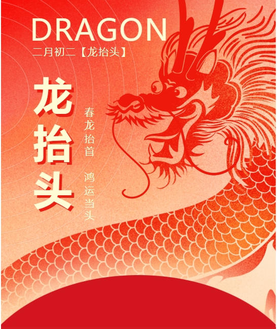 二月二龍?zhí)ь^，春龍振翅鴻運(yùn)啟 —— 佳木斯網(wǎng)云信息科技有限公司與您共迎新春盛景